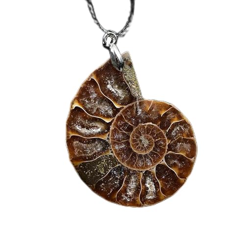 Halskette mit natürlichem Muschelanhänger und Bergkristall